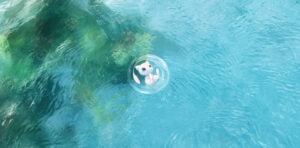 Captivate Your Screen with the Enchanting Mew Pokémon Wallpaper - Download Now! Mew se baigne – fond d’écran Pokémon en 4K pour mobile et ordinateur